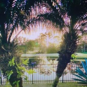 From my porch to yours